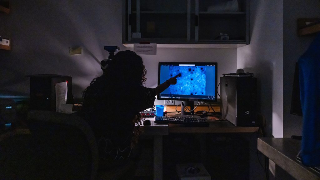 blue mud lab