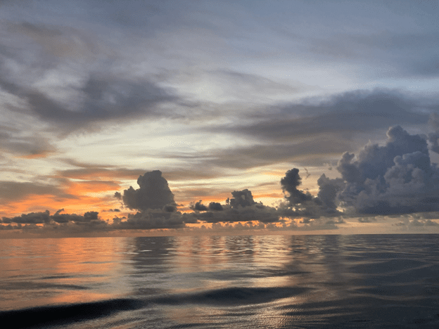 Abbott.Katy.BeautifulBengalSea