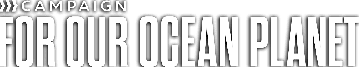 Campaign-Logo-White-DS
