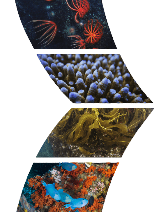 homepage-intro-1