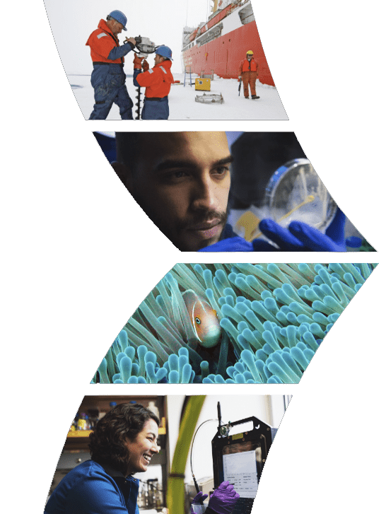 homepage-intro-2