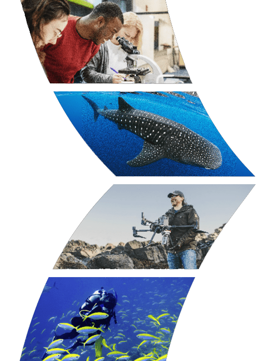 homepage-intro-3