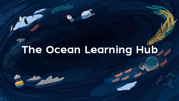 Learning Hub