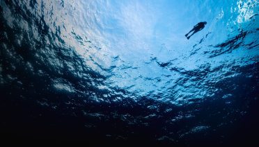 ocean and swimmer