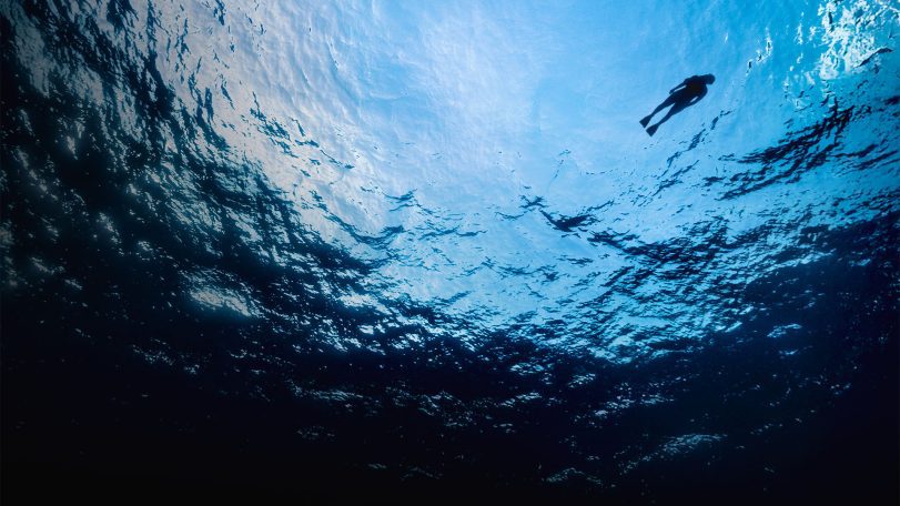 ocean and swimmer