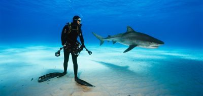 Brian Skerry
