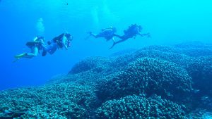 WHOI reef solutions field team
