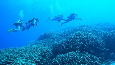 WHOI reef solutions field team