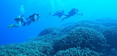 WHOI reef solutions field team