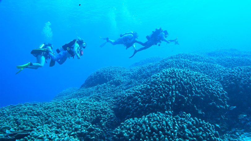 WHOI reef solutions field team