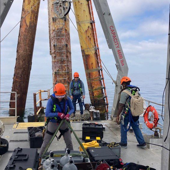 MVCOTeam.fieldwork.Square