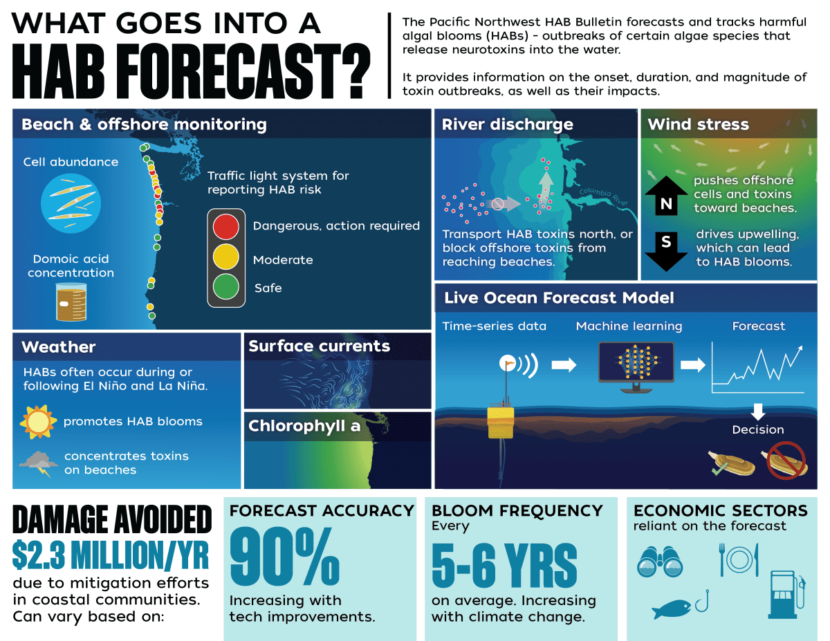 What goes into a HAB forecast