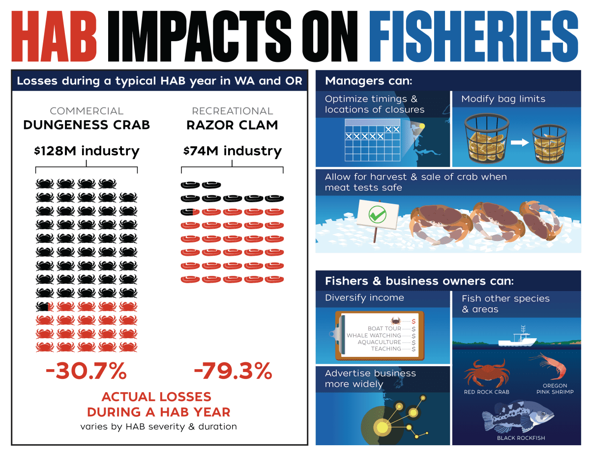 HAB impacts on fisheries