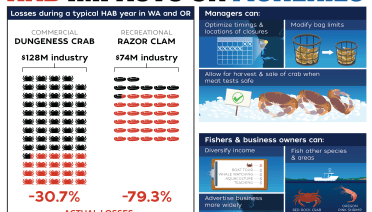 HAB impacts on fisheries