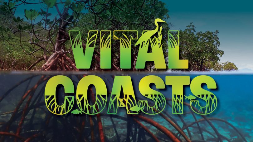 Ocean Encounters Vital Coasts: Season8 episode 2