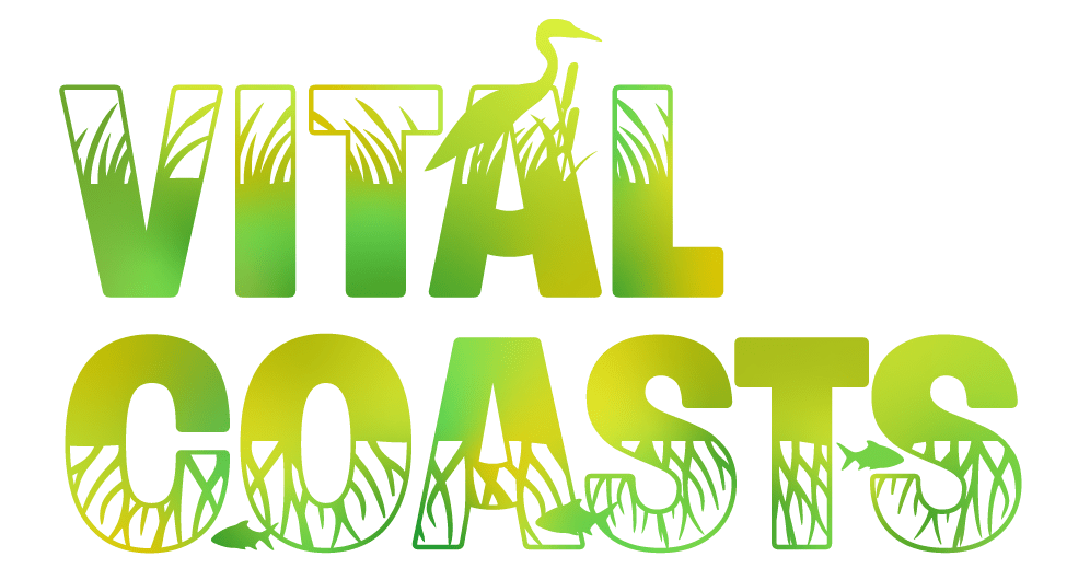 OceanEncounters Vital Coasts