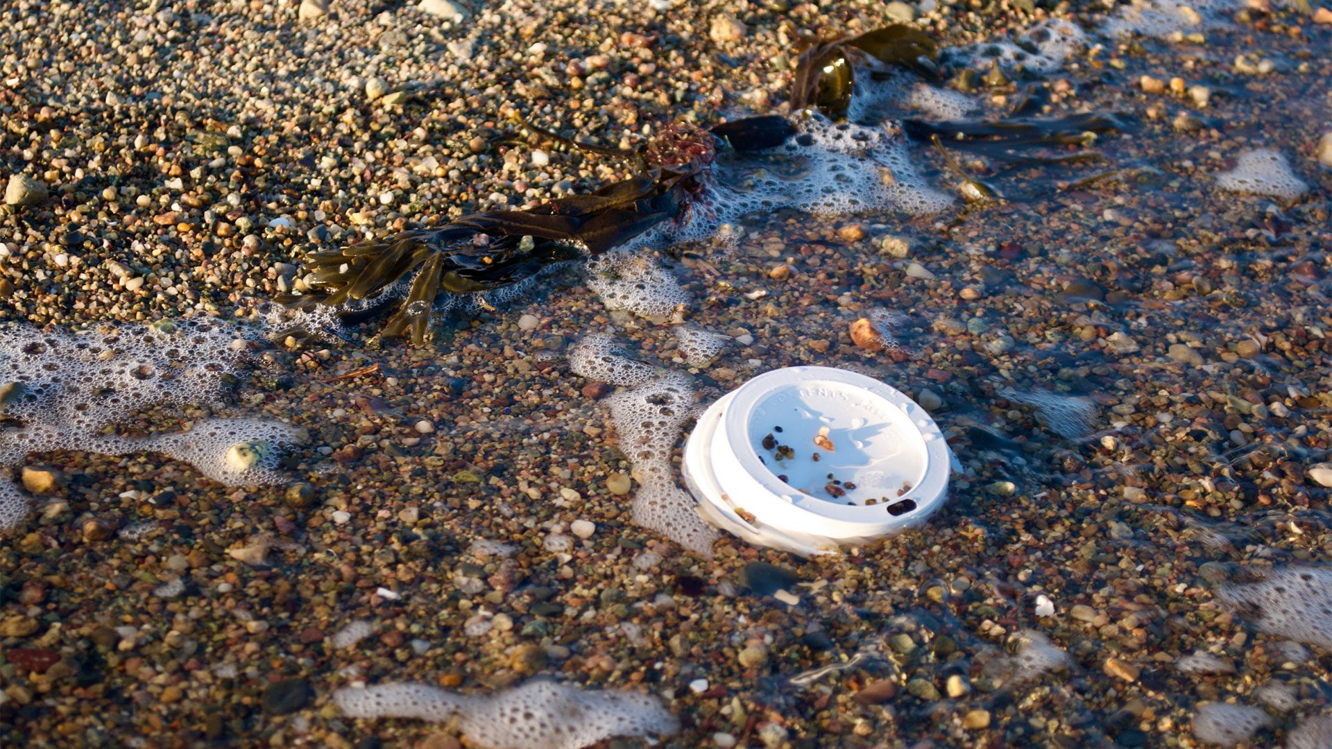 plastic at beach