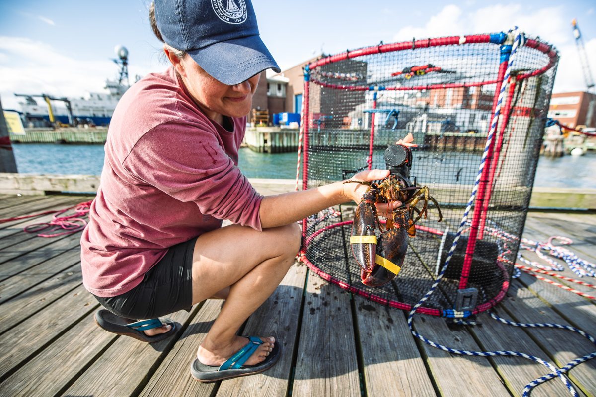 lobster trap