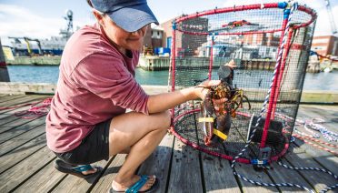 lobster trap