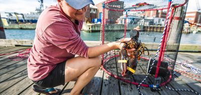 lobster trap