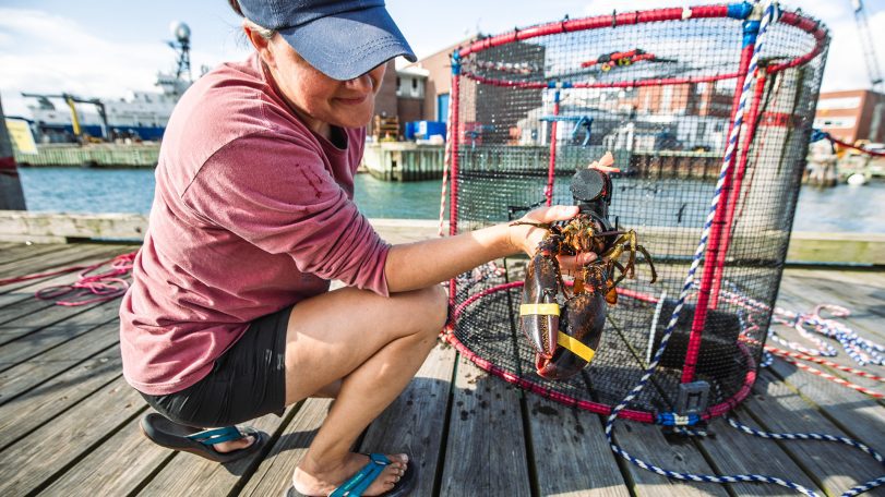 lobster trap