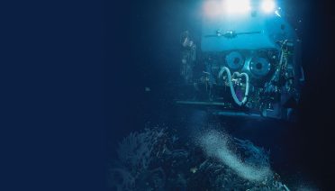 OE - the abyss background