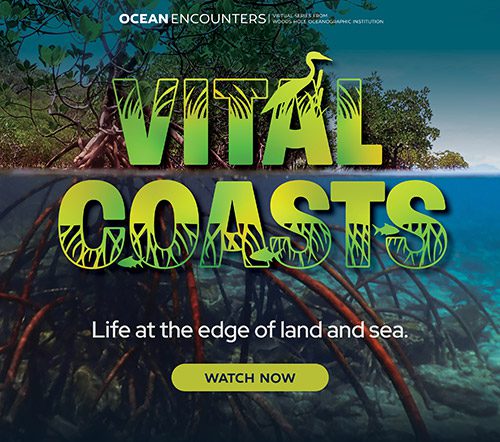 Vital Coasts