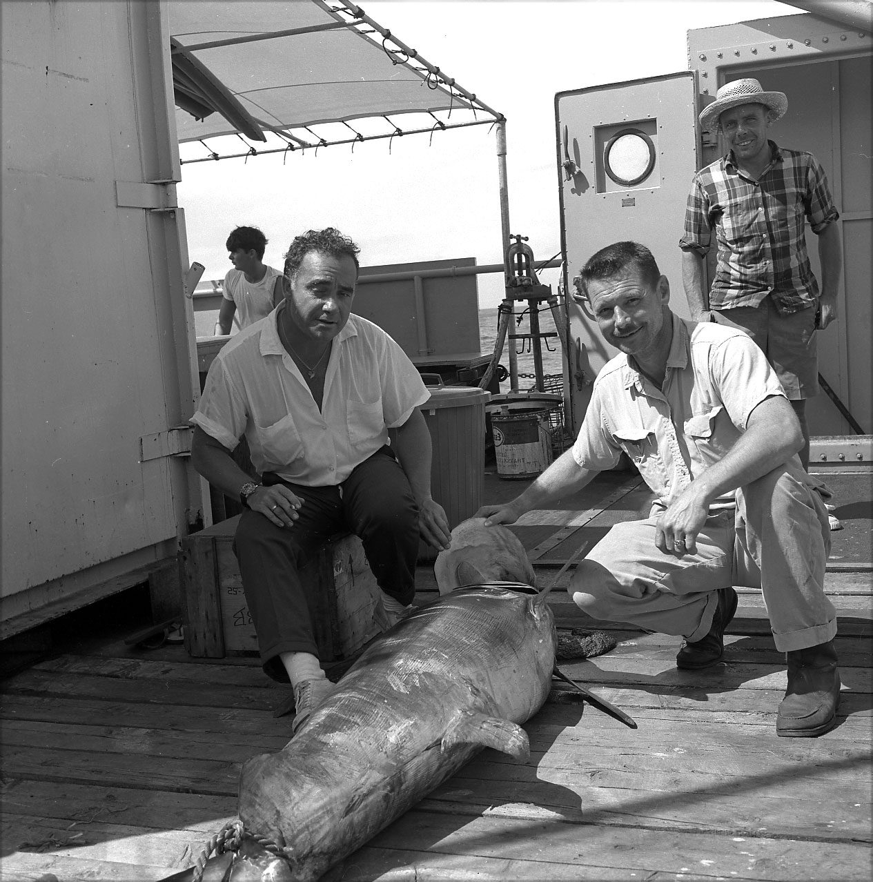 swordfish on deck