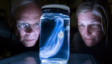 Larry Madin and Kelly Sutherland