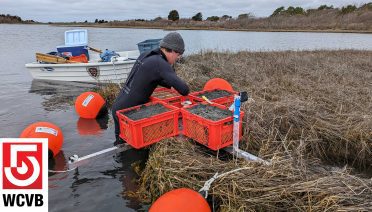 (© Woods Hole Oceanographic Institution)