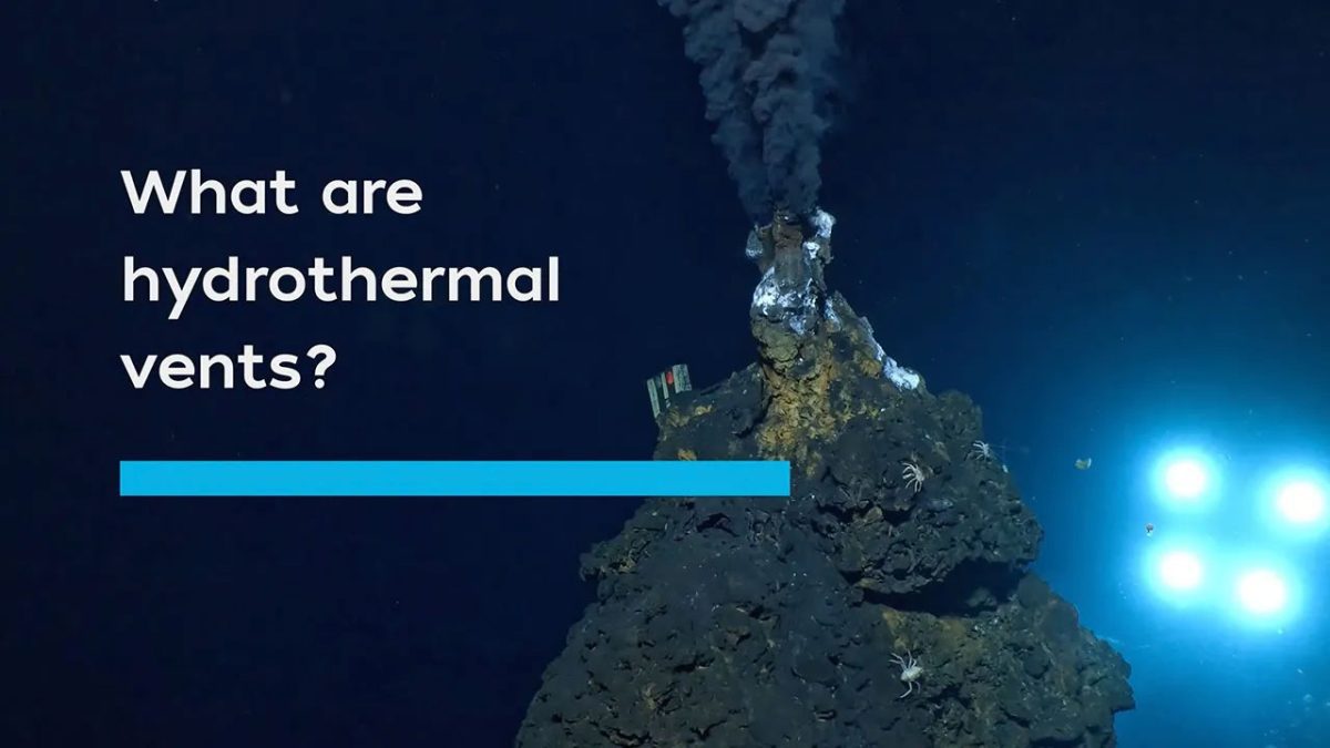 what are hydrothermal vents