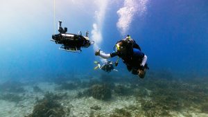 CUREE with diver