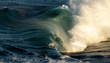 wave in the ocean