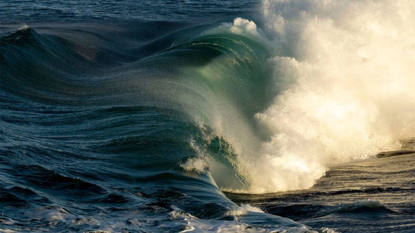 wave in the ocean