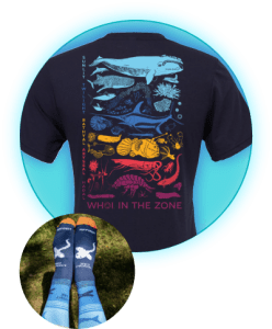 wod 2026 gifts