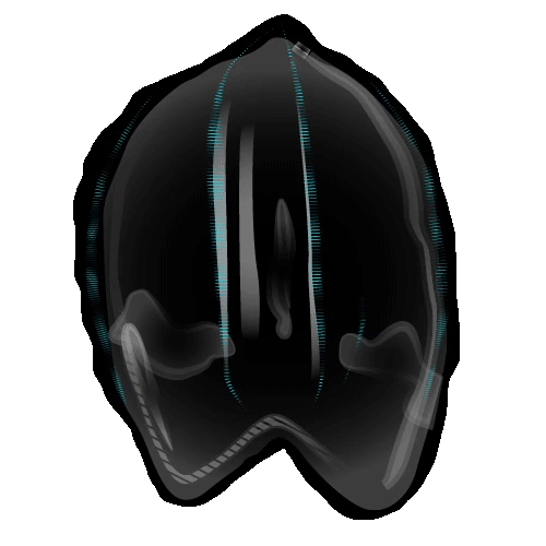 Comb-Jelly-Full