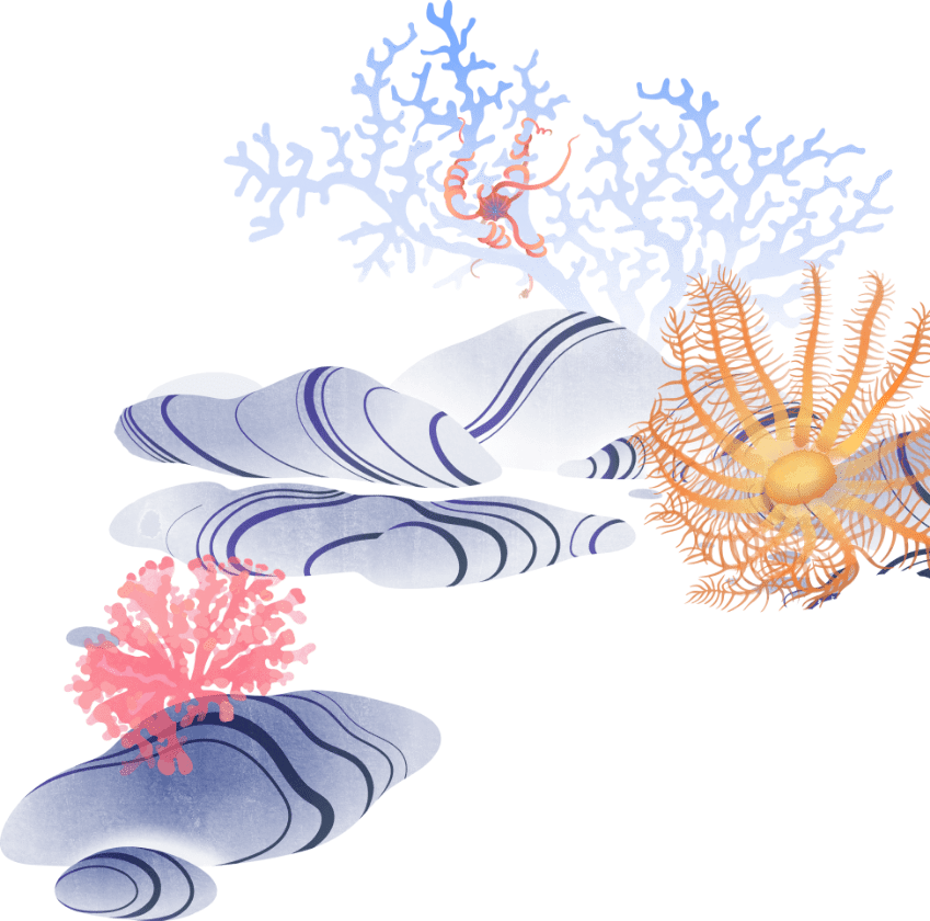 Deep sea coral garden