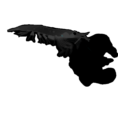 Krill-Squirt