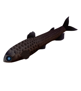 Owlfish