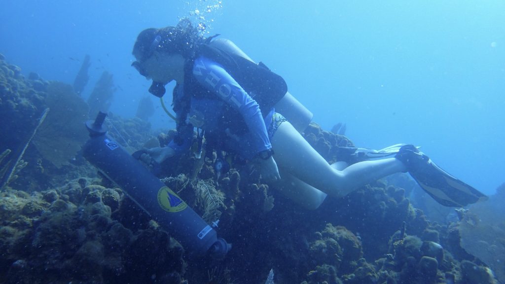 Cynthia Becker, MIT-WHOI Joint Program graduate and study co-author, samples the coral reef seawater using a Niskin bottle to support the non-invasive analysis of reef water microbes and metabolites. (Photo by Amy Apprill, ©Woods Hole Oceanographic Institution) 