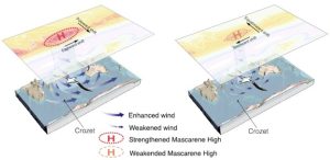 Diagram illustrating the effects of strengthened and weakened Mascarene High on wind patterns near Crozet.
