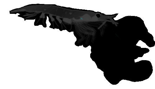 Illustration of a bio luminescence krill.