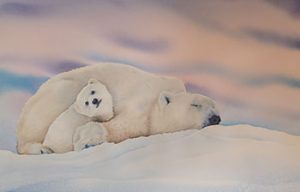 polar bear drawing