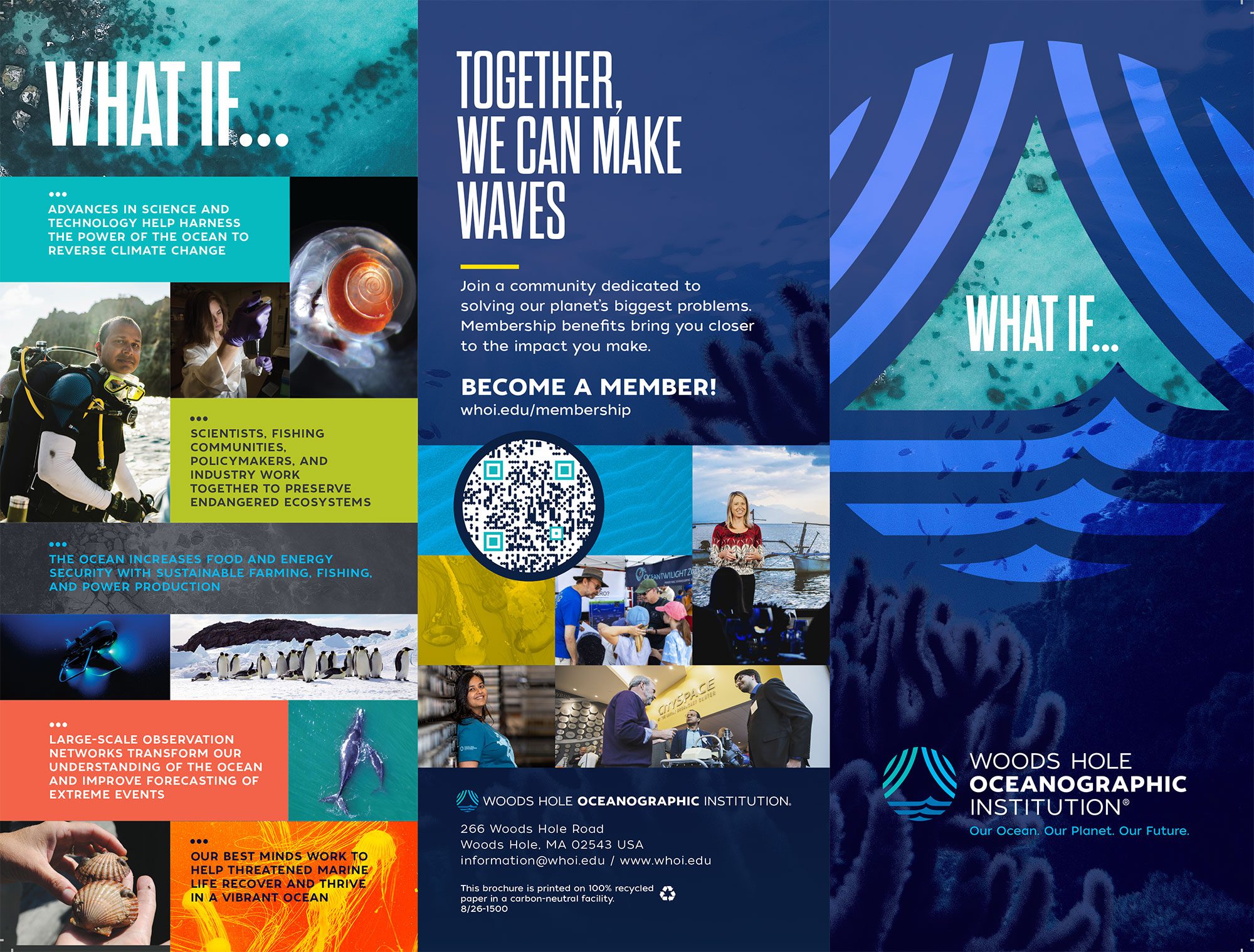 What if brochure