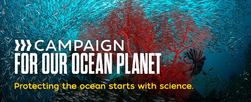 Campaign: For Our Ocean Planet — protecting the ocean starts with science.