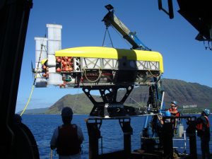 nereus