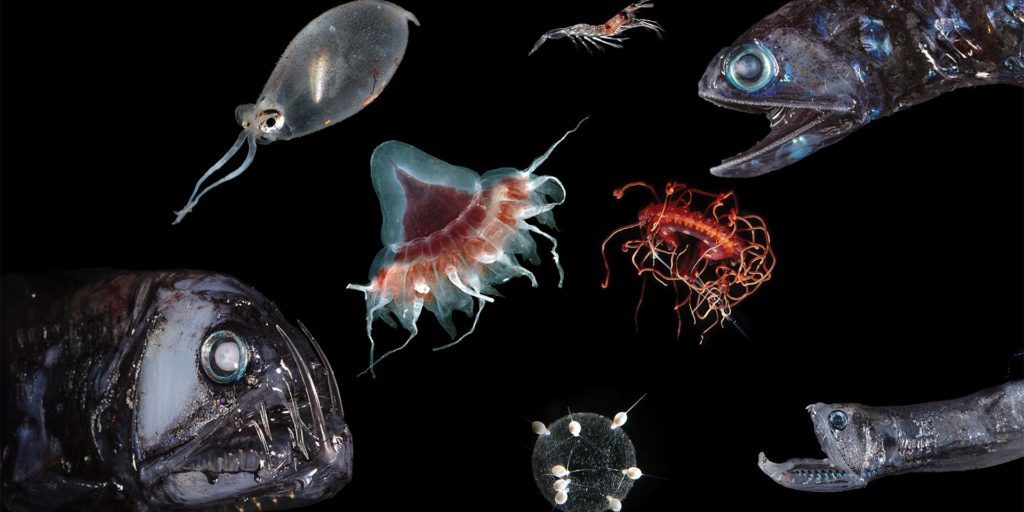 Twilight Zone Creatures
