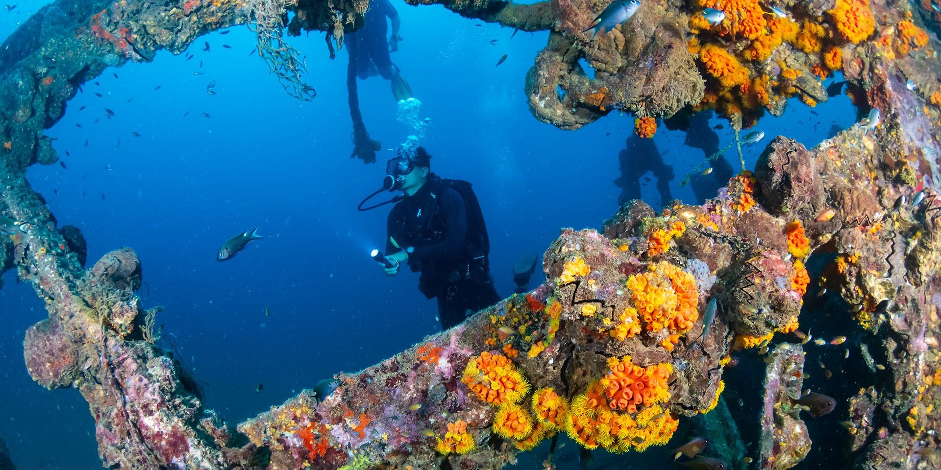 AdobeStock_232412051