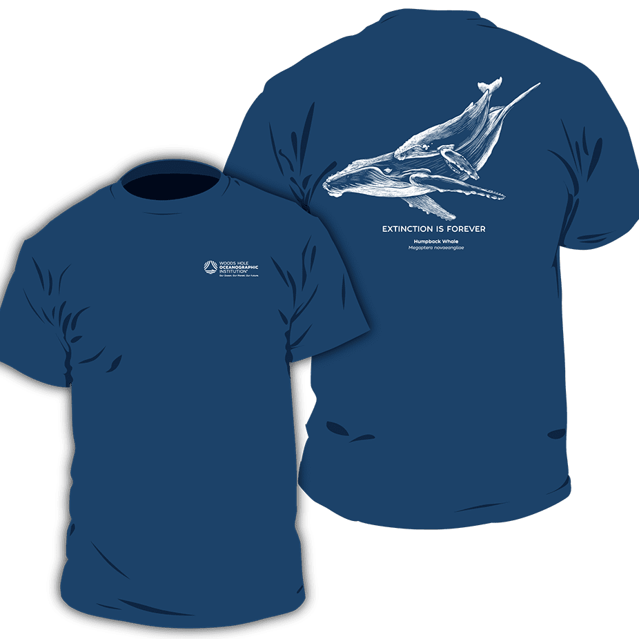 humpback whale t-shirt
