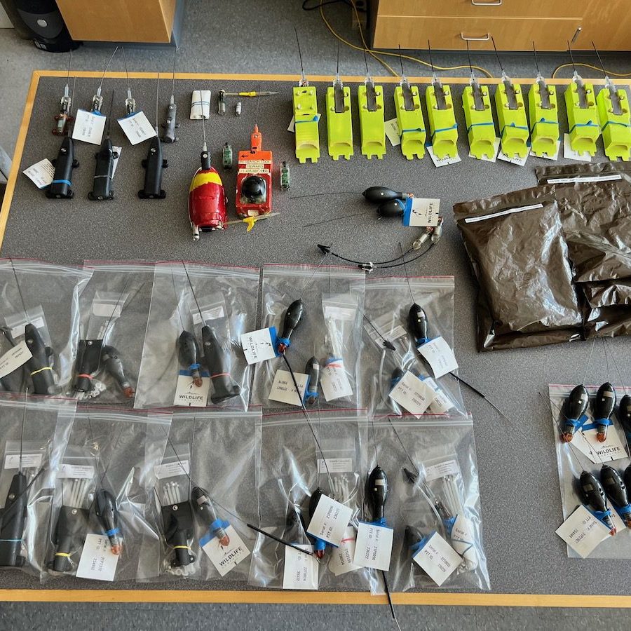 An assortment of tags ready to be placed on fish on the F/V Monica. The team has to find and recover the cellphone-sized tag in the waves, so they turned to foam and high-visibility duct tape to make retrieval easier. (Photo by Camrin Braun, © Woods Hole Oceanographic Institution)
